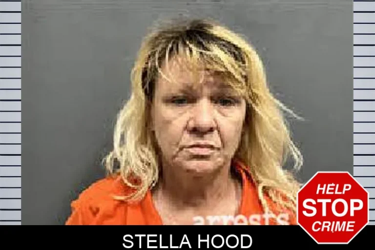 Stella Hood