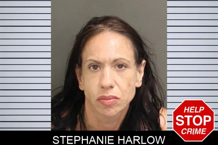 Stephanie Harlow