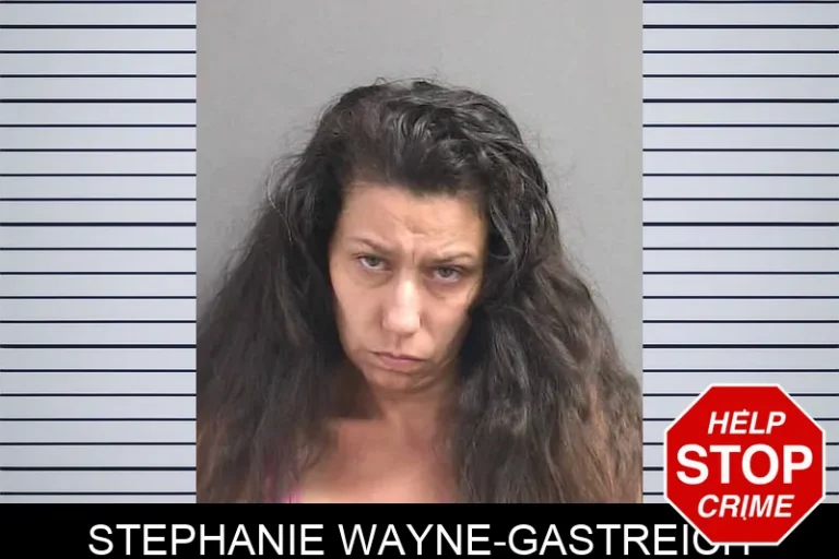 Stephanie Wayne-Gastreich