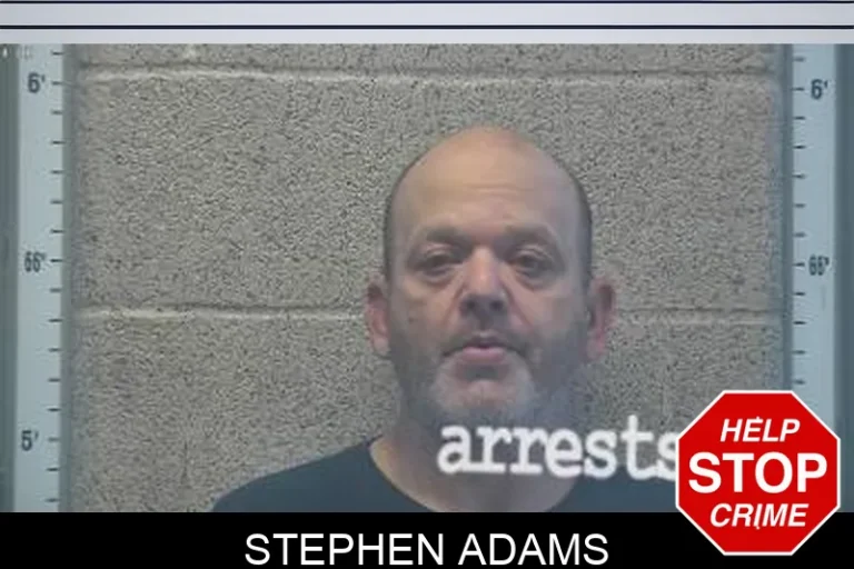 Stephen Adams