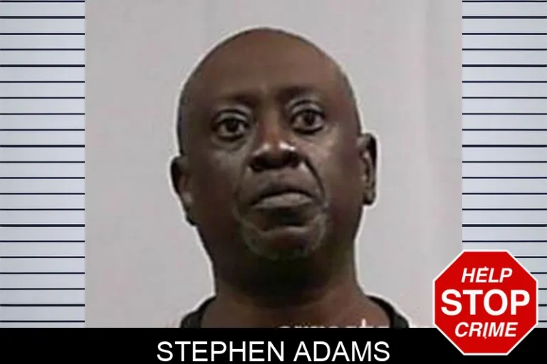 Stephen Adams