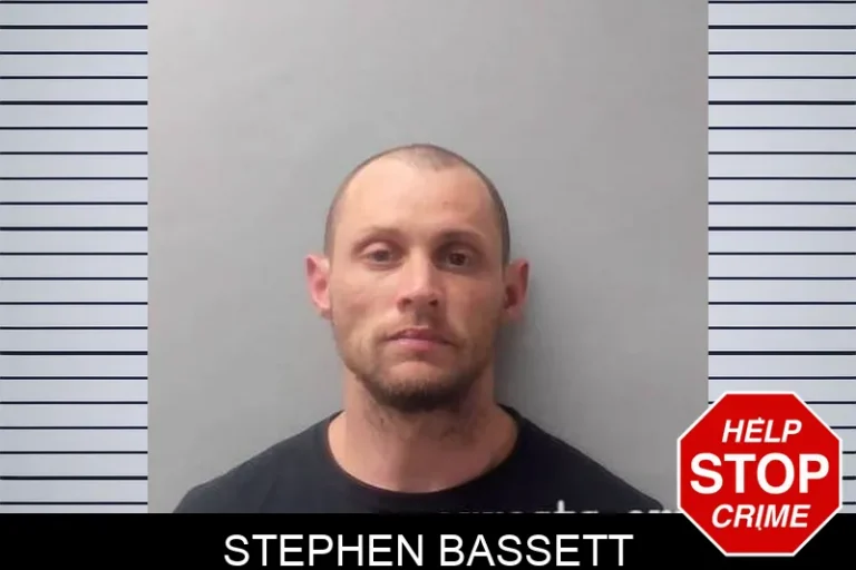 Stephen Bassett