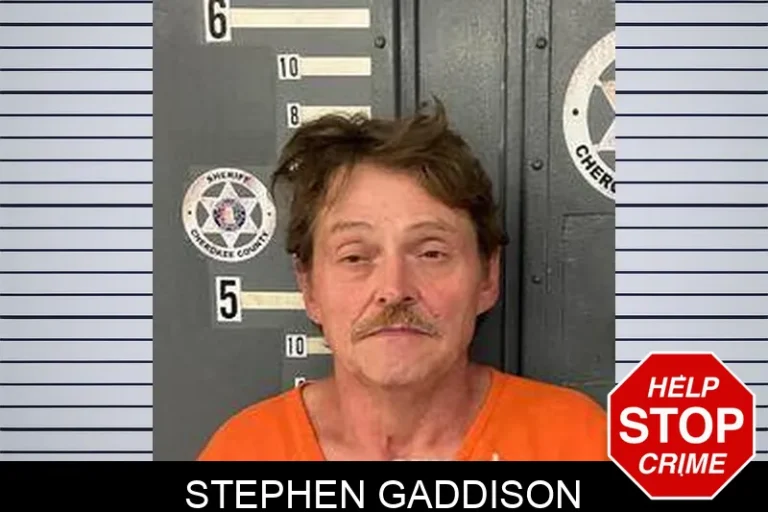 Stephen Gaddison