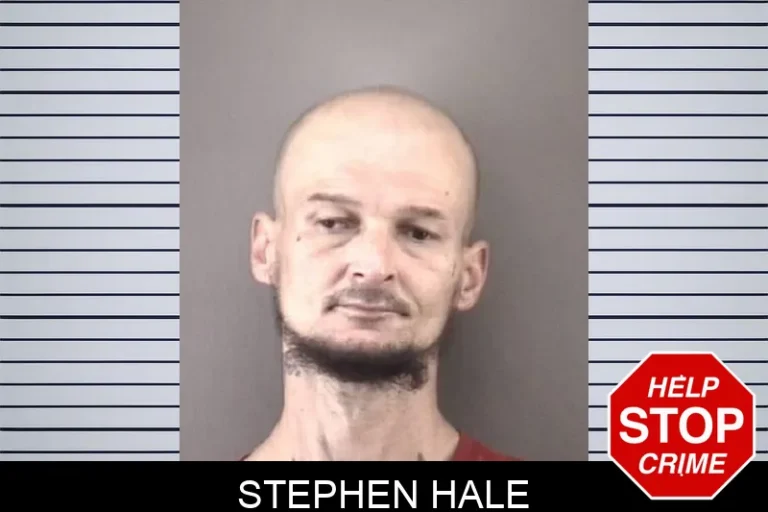 Stephen Hale