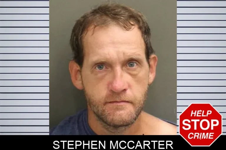 Stephen McCarter