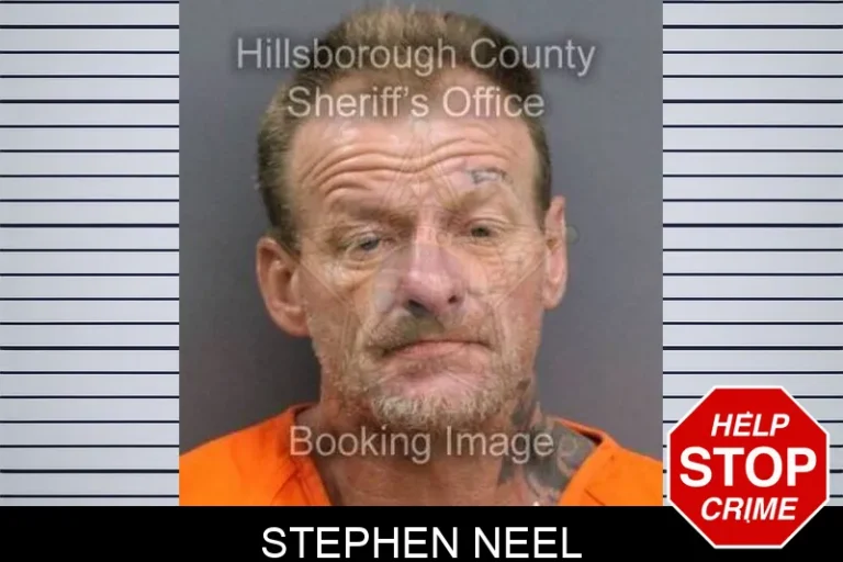 Stephen Neel
