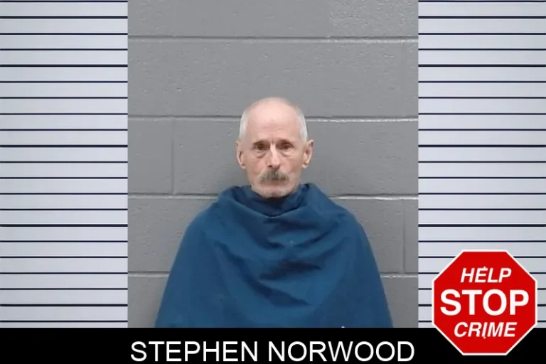 Stephen Norwood