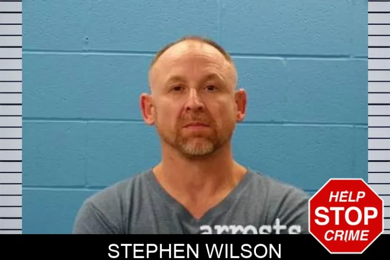 Stephen Wilson