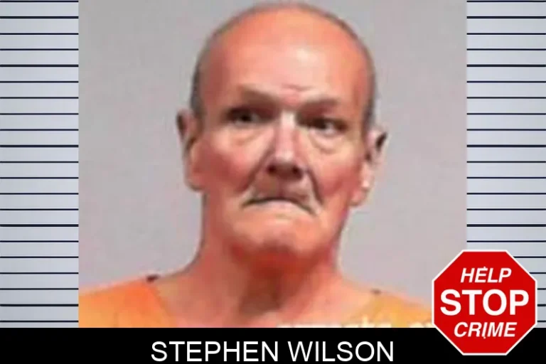 Stephen Wilson