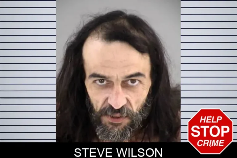 Steve Wilson