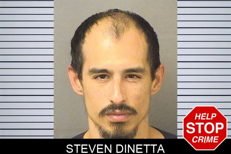 Steven Dinetta