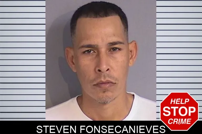 Steven Fonsecanieves