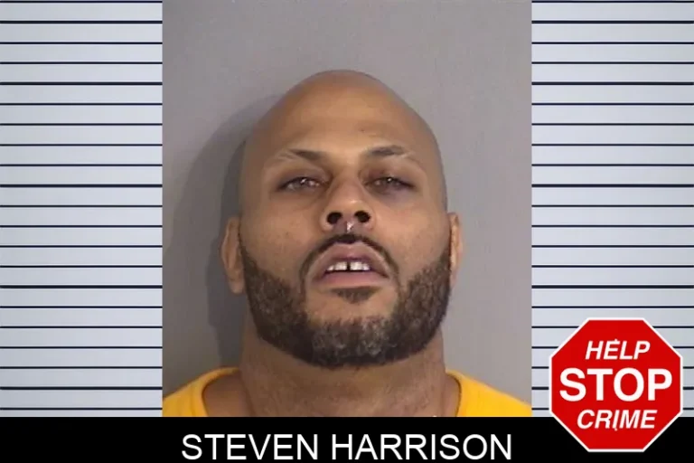 Steven Harrison