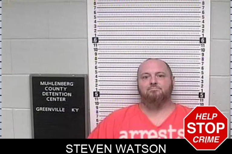 Steven Watson