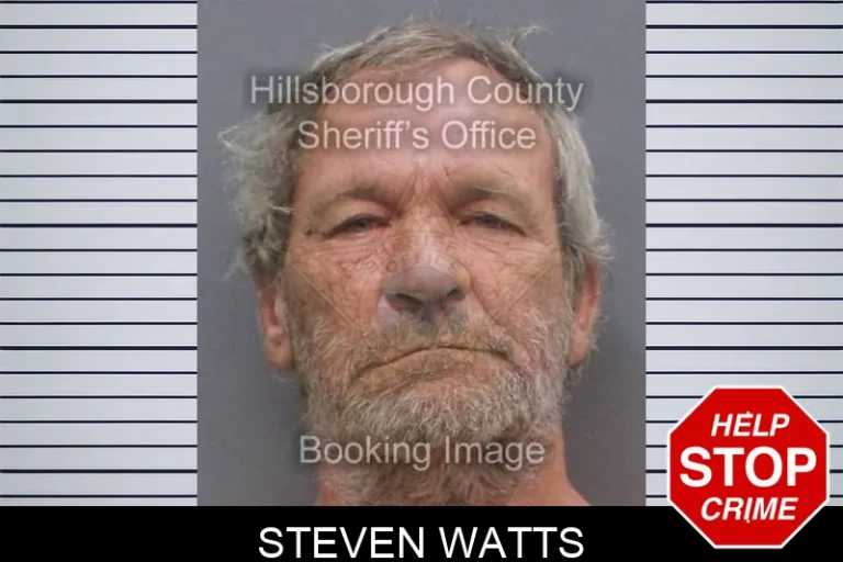 Steven Watts