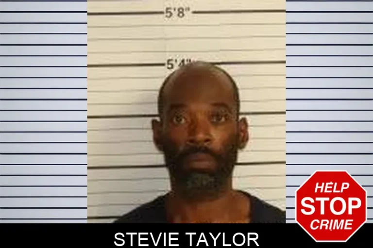 Stevie Taylor
