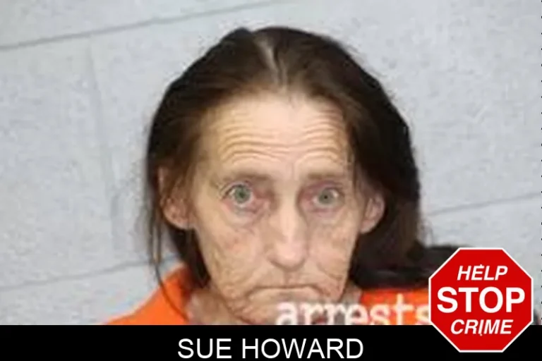 Sue Howard