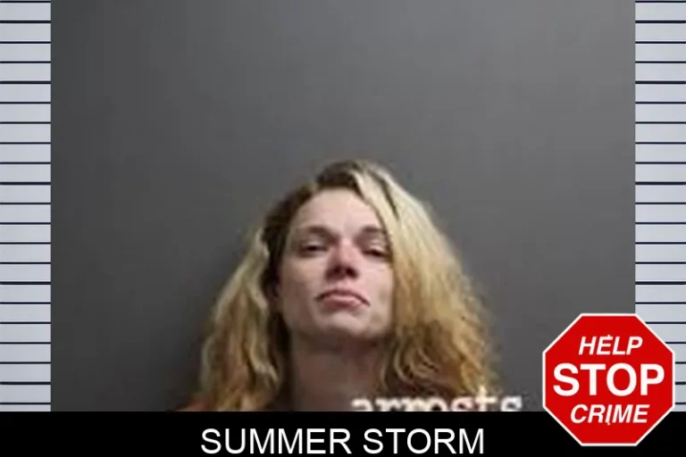 Summer Storm