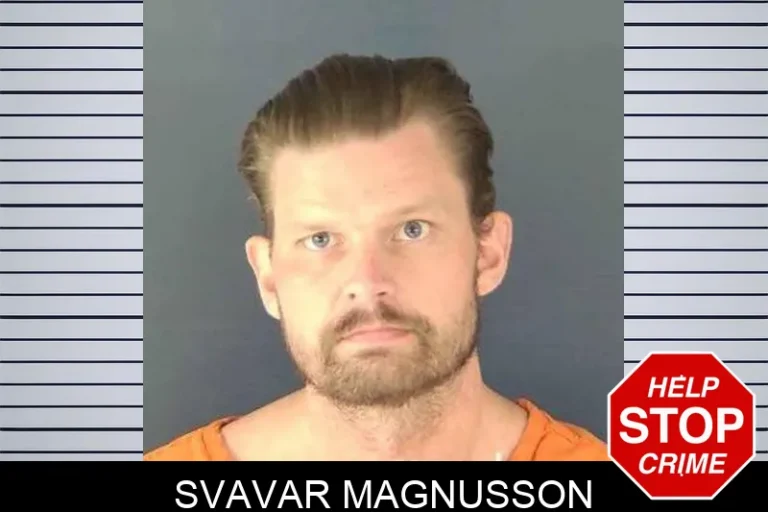 Svavar Magnusson