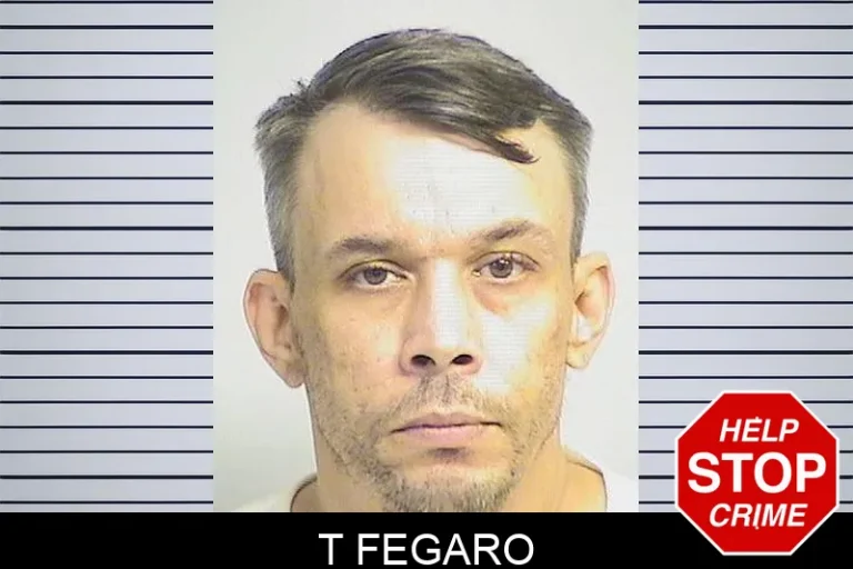 T Fegaro