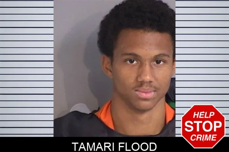 Tamari Flood