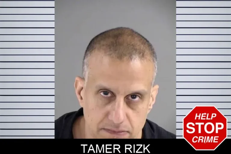 Tamer Rizk