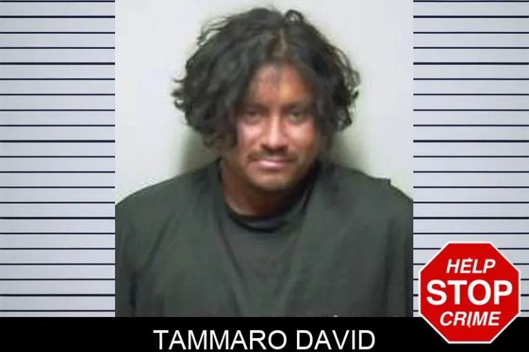 Tammaro David