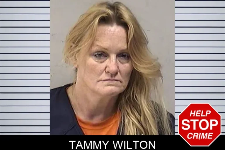 Tammy Wilton