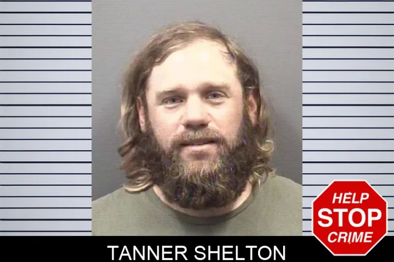 Tanner Shelton
