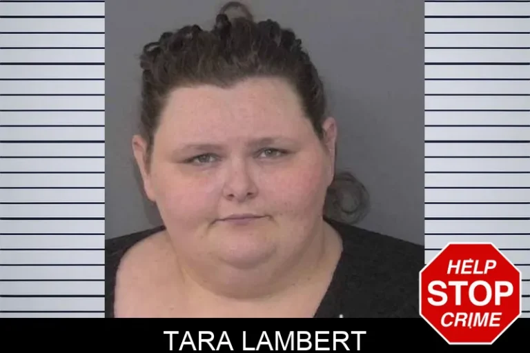 Tara Lambert