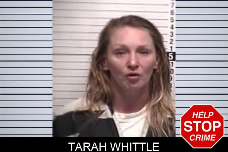 Tarah Whittle