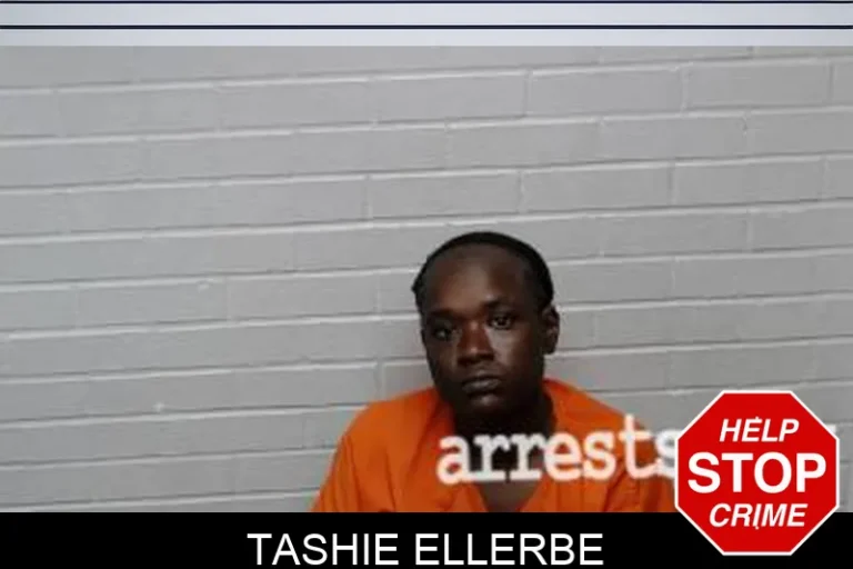 Tashie Ellerbe