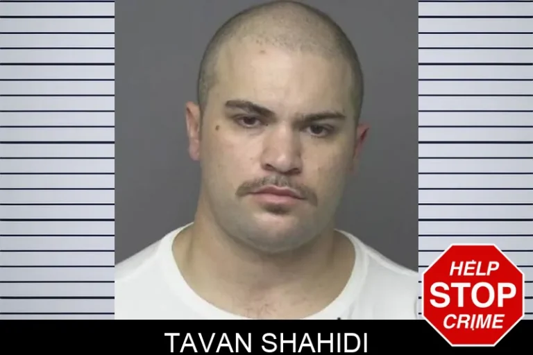 Tavan Shahidi
