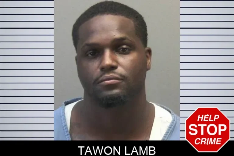 Tawon Lamb