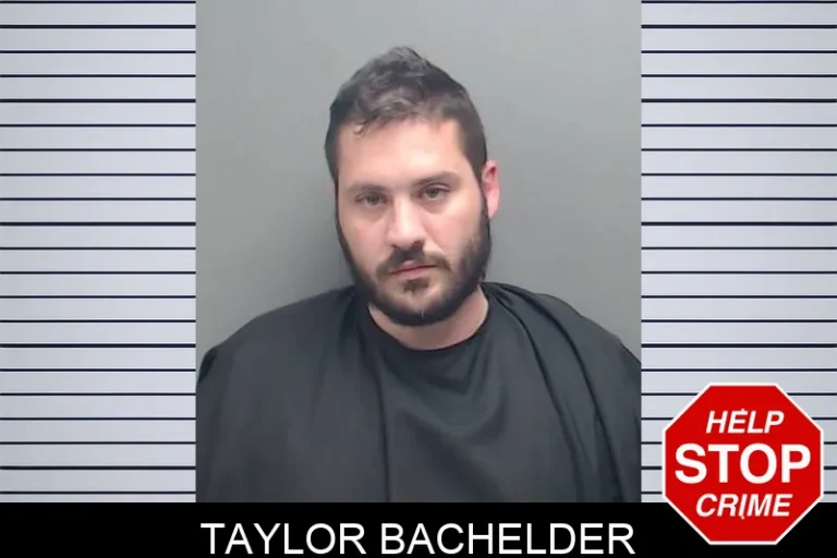 Taylor Bachelder