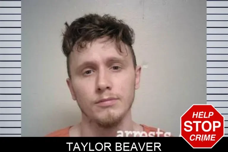 Taylor Beaver