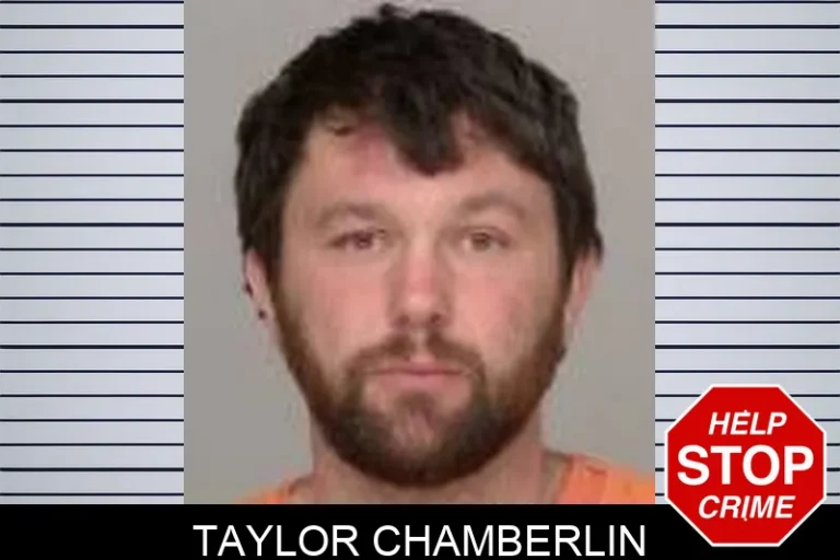 Taylor Chamberlin