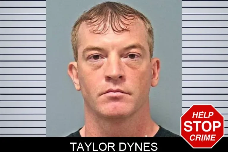 Taylor Dynes