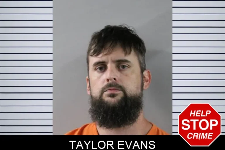 Taylor Evans