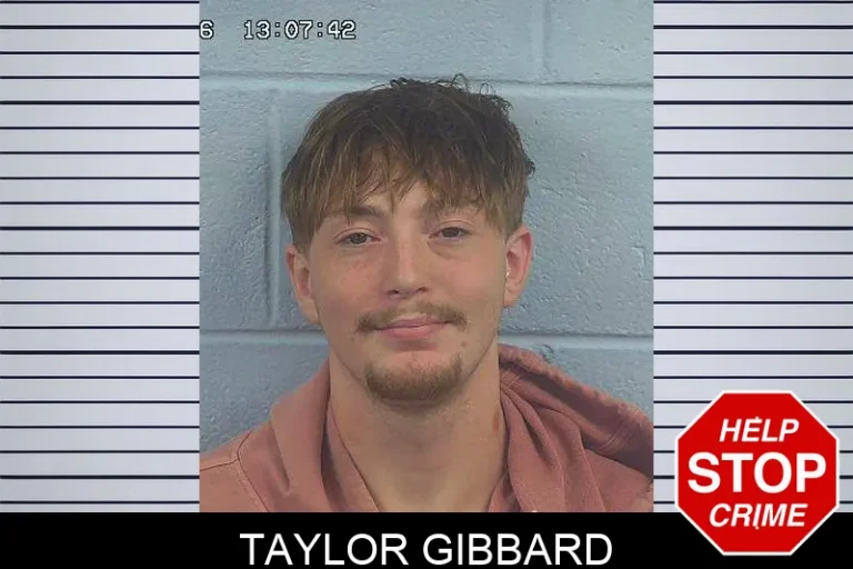 Taylor Gibbard