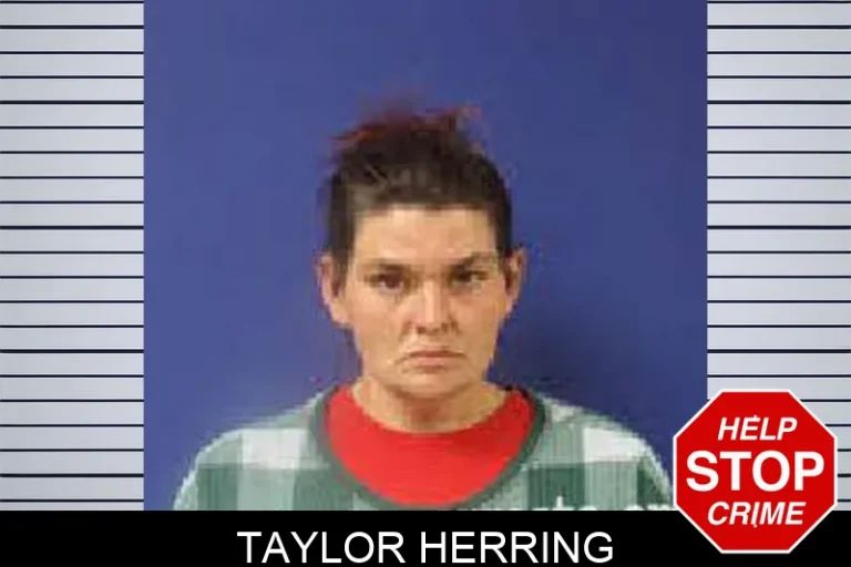 Taylor Herring