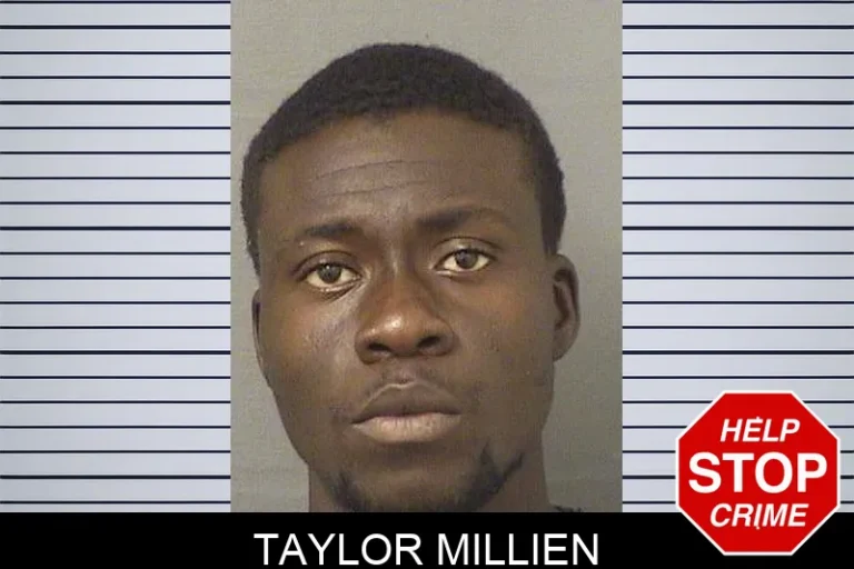 Taylor Millien