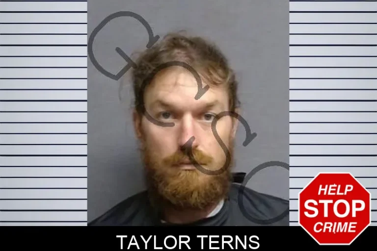 Taylor Terns