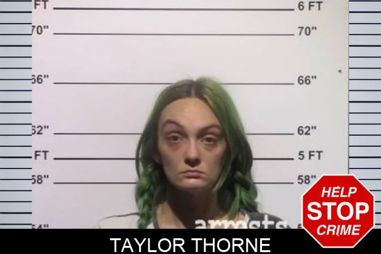Taylor Thorne