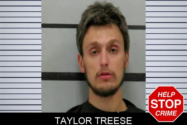 Taylor Treese