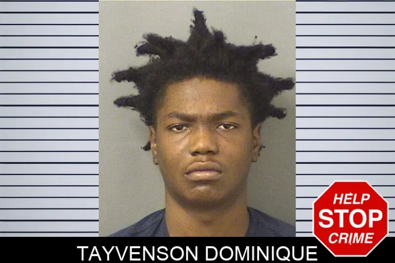 Tayvenson Dominique