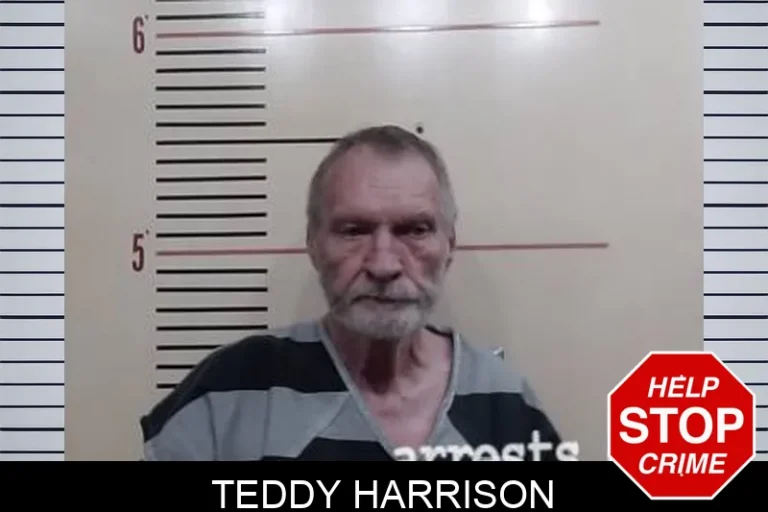Teddy Harrison