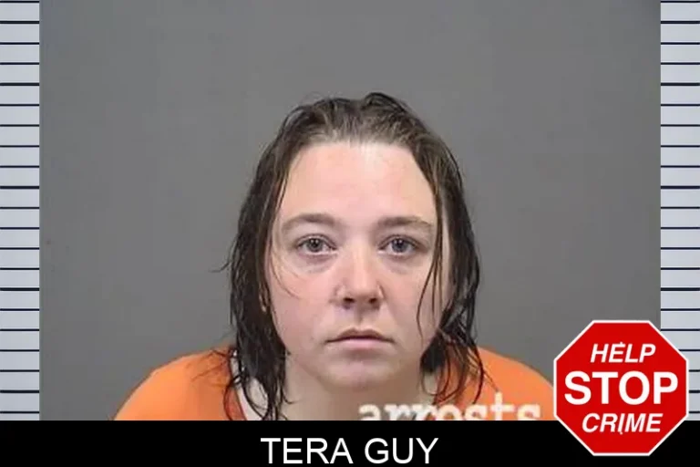Tera Guy