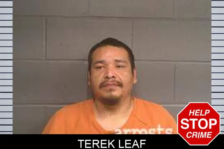Terek Leaf