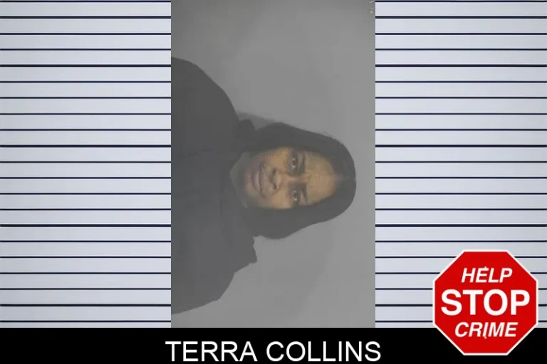 Terra Collins